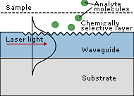 Chemosensor