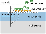 Immunosensor