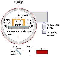 OWLS system